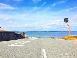 重生后，我分手回岛赶海桶桶爆仓（重生后我分手回岛赶海桶桶爆仓）