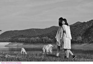 游牧者 1986,游牧者的时代印记与精神追寻